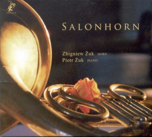 salonhorn.jpg