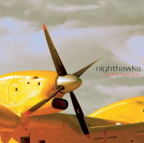 nighthawks-As-the-sun-sets-min.jpg