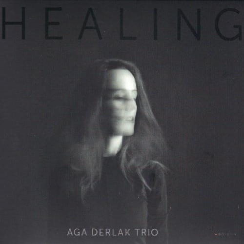 Aga-Derlak-Trio-Healing.jpg
