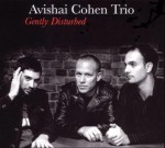 Avishai Cohen Trio - Gently Disturbed