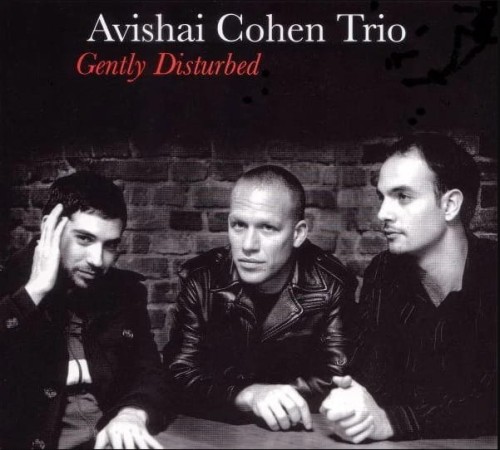 Avishai-Cohen-Trio-Gently-Disturbed.jpg