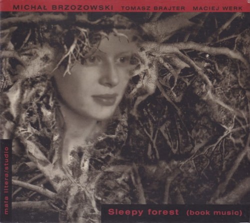 Michal-Brzozowski-Tomasz-Brajter-Maciej-Werk-SLEEPY-FOREST.jpg