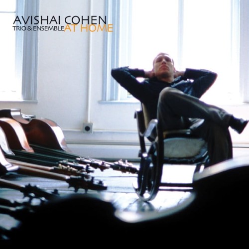 Avishai-Cohen-At-Home.jpg
