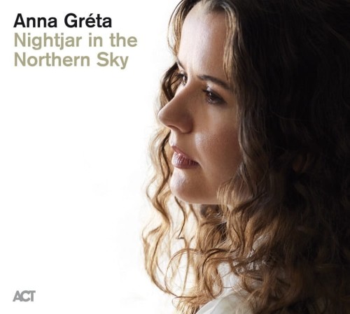 Anna-Greta-Nightjar-in-the-Northern-Sky.jpg