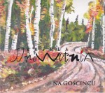 Kapela Drewutnia - Na gościńcu