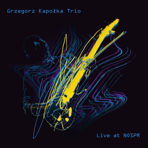 Grzegorz-Kapolka-Trio-Live-at-NOSPR.jpg