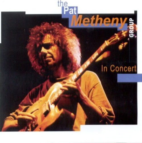 pat_metheny_in_concert.jpg