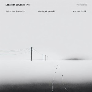 Sebastian Zawadzki Trio - Vibrations