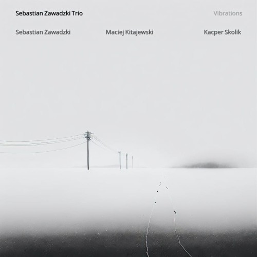 sebastian-zawadzki-trio-vibrations.jpg