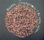 KAPELA DREWUTNIA - Ej bida bida!