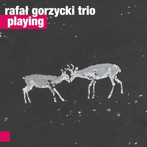 RAFAŁ GORZYCKI  TRIO    Playing