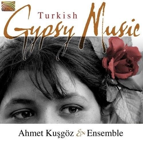 turkish_gypsy_music.JPG