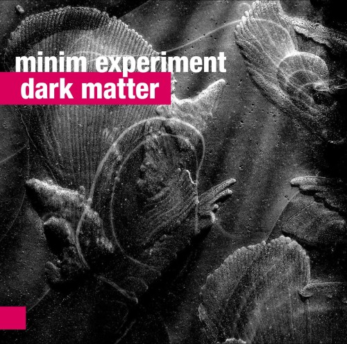 minim_experiment.jpg